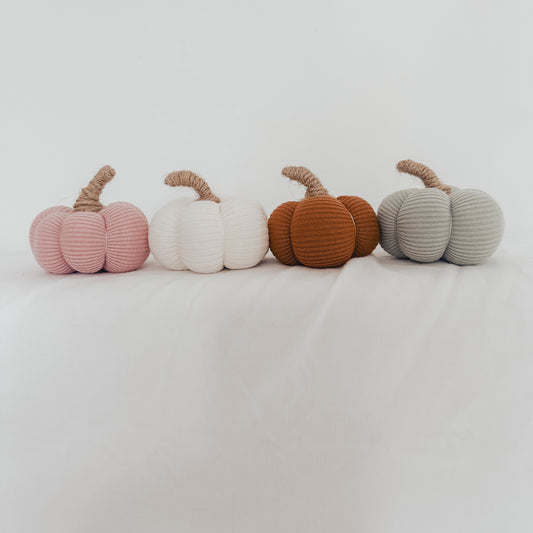 Pumpkins (pack of 3)