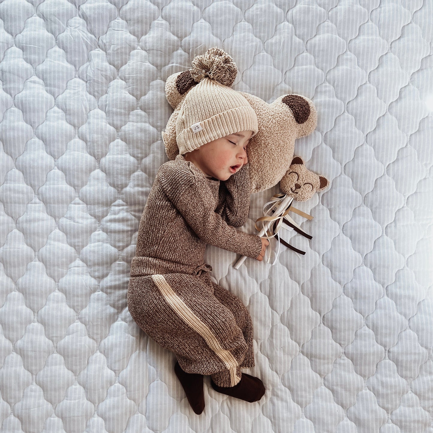 Teddy Cushions