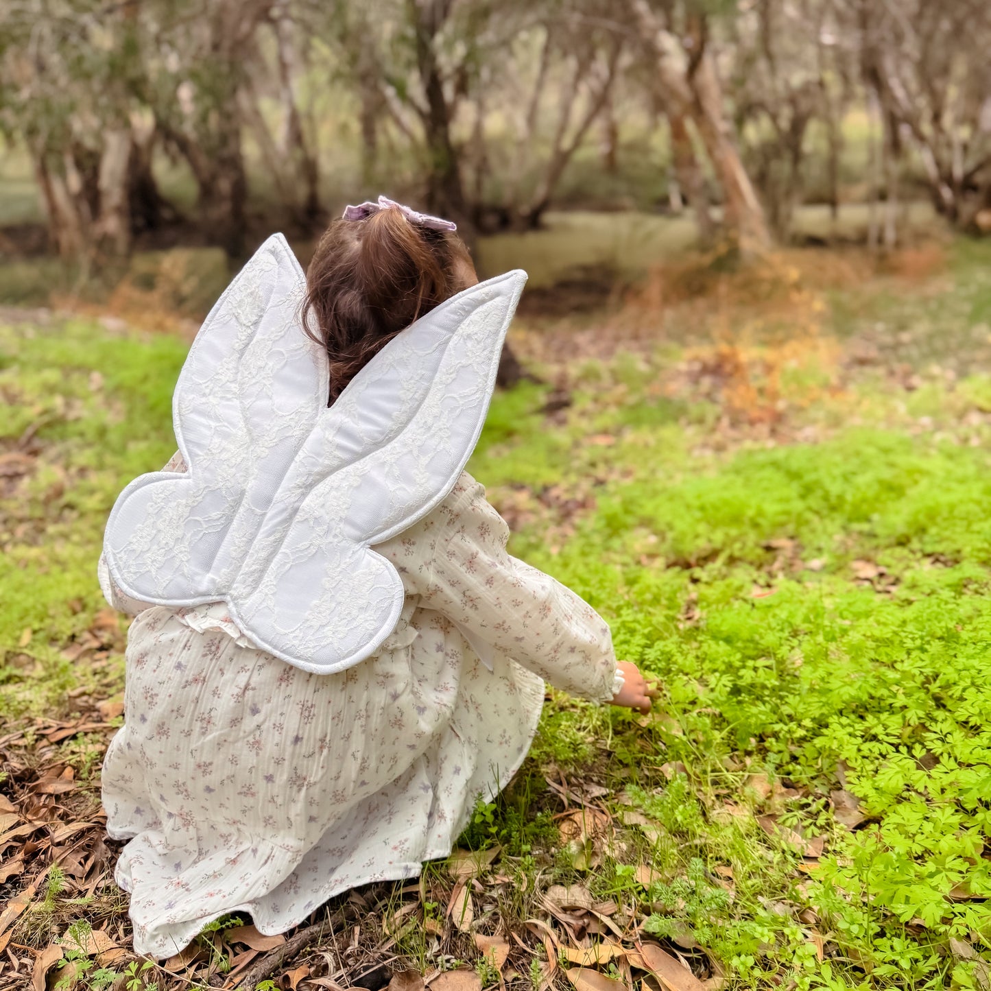 Storybook Fairy Wings | Deluxe Collection